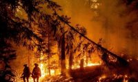 الدول الأوروبية تهب لمساعدة فرنسا في مكافحة حرائق الغابات