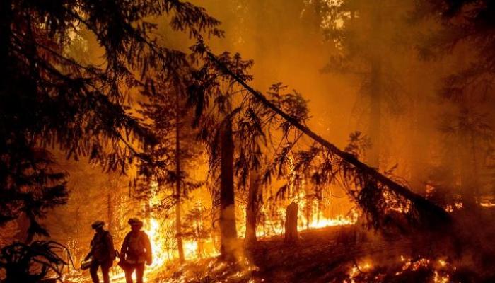 الدول الأوروبية تهب لمساعدة فرنسا في مكافحة حرائق الغابات