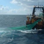 المغرب..منع الصيد لعدد من الأصناف البحرية لمدة خمسة سنوات