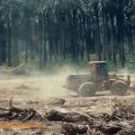 مصدر مسؤول في وزارة الزراعة: ميليشيا الحشد الشعبي وراء تجريف البساتين لصالح إيران