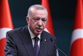 أردوغان:سنعمل على ضمان وصول سفن الحبوب إلى جميع البلدان