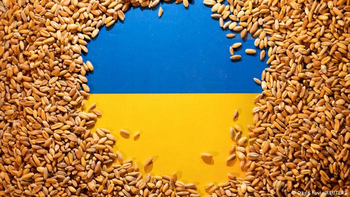 فرض حظرا على الحبوب الأوكرانية من قبل بولندا والمجر وسلوفاكيا