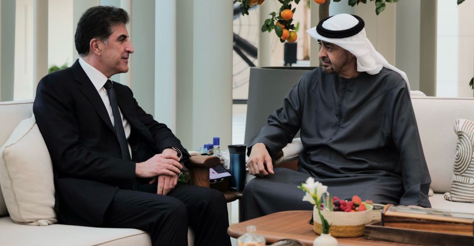 بن زايد والبارزاني يؤكدان على تعزيز التعاون الاقتصادي والسياسي بين الإمارات وأربيل