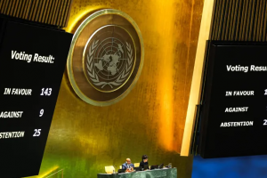 الأمم المتحدة تقرر بإعادة النظر في عضوية فلسطين بشكل إيجابي