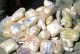 الأمم المتحدة تحذر من انتشار (3) أنواع من المخدرات الأفريقية
