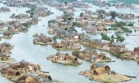 المياه النيابية:حراكا نيابيا من أجل إقرار قانون شامل لدعم بيئة الاهوار العراقية