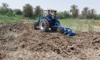 وزارة الزراعة تعلن عن إصدار قانون جديد للاستثمارات الزراعية