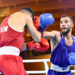 اتحاد الملاكمة:انضمام 4 ملاكمين محترفين للمشاركة في البطولات الدولية