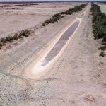 العراق والعطش القادم: حين تغيب الدولة وتحضر الفوضى