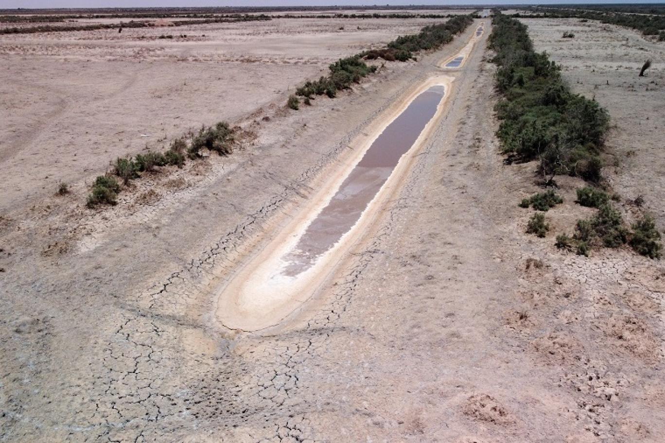 العراق والعطش القادم: حين تغيب الدولة وتحضر الفوضى