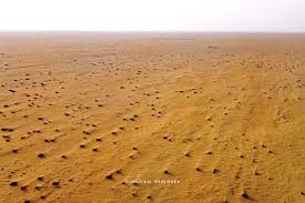 نائب إطاري يدعو إلى اعتماد ستراتيجية الأحزمة الخضراء لمواجهة زحف الصحراء