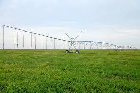 وزارة الزراعة تمنع استيراد(44) منتجاً زراعياً وحيوانياً