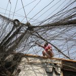 نائب:أزمة الكهرباء لن تعالح إلا بإيقاف التدخل الإيراني