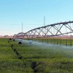 وزارة الزراعة تدعو إلى توسيع استثمار الطاقة الشمسية في تشغيل منظومات الري