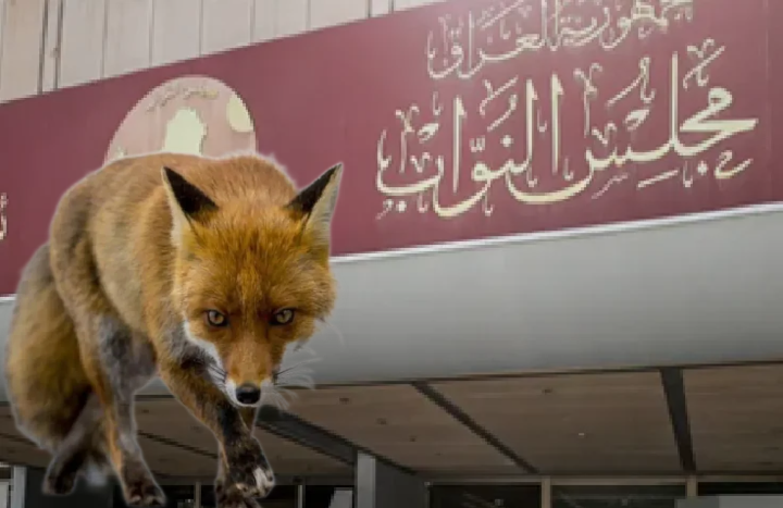 الانتخابات الديمقراطية في دولة الثعالب