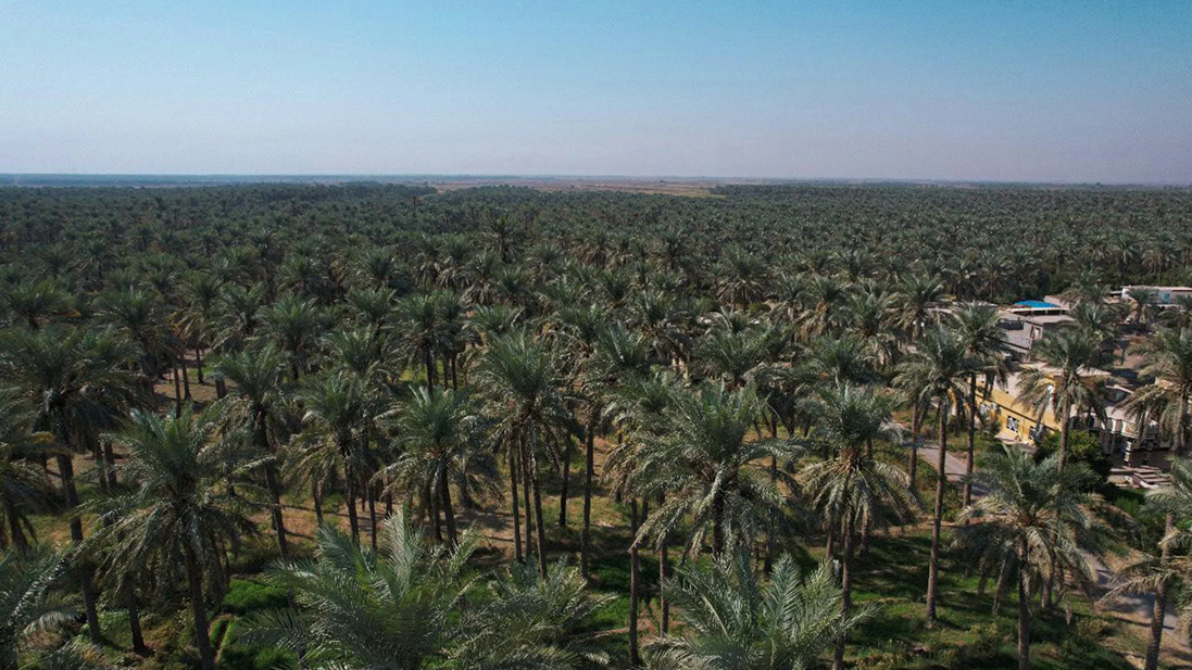 العراق من بلد النخيل إلى بلد المتأخرين بسبب الخونة الولائيين