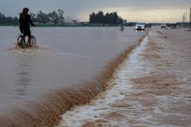 خبير مائي:فشل الحكومات المتعاقبة وراء شحة المياه في العراق