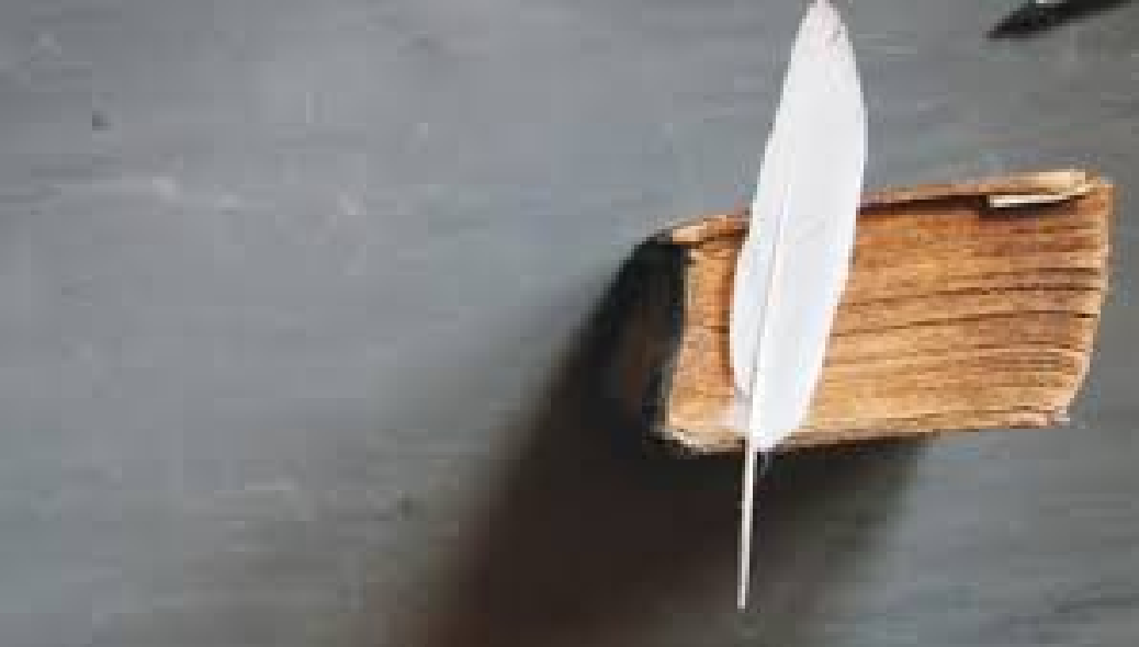 نحوَ إعادةِ النظرِ في وظيفةِ الأدب