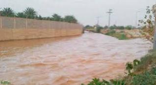 ديالى:20% من الاراضي الزراعية تضررت من جراء السيول في المحافظة