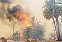 مقتل 6 جنود وحرق عددا من البساتين في ناحية السعدية