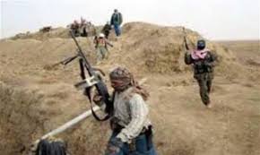 داعش تسيطر على قرية  “البو نمر”في الانبار