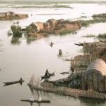 في معرض (طبيعة عراقية).. الجمال: وحدة التنوّع