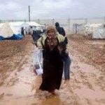 نائب:النازحين الحدث الأسوأ خلال 2016