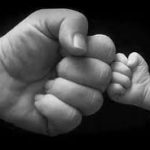 مدارات الصورة