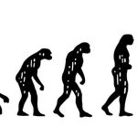 كتاب جديد يبحث في نظرية التطور لداروين