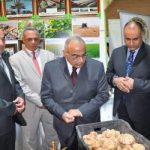 عبد المهدي يتفق مع إيران باستيراد 90% من محاصيلها الزراعية ويطالب بتطوير الزراعة العراقية!!