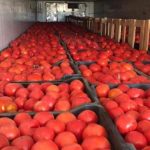 تقرير أمريكي: العراق أبو الزراعة والخير يستورد “طماطم إيرانية “بـمليار و700 مليون دولار