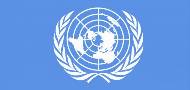 الأمم المتحدة:حرية التعبير في الإقليم ” معدومة”