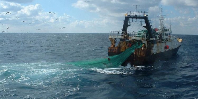 المغرب..منع الصيد لعدد من الأصناف البحرية لمدة خمسة سنوات