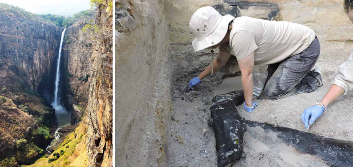 العثور على أقدم هيكل خشبي في زامبيا