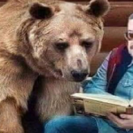 لِماذا كذبَ السُّوداني؟! الأَرقامُ تفضحُ الكذَّاب!