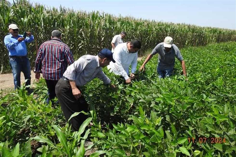 العراق بالمركز الثامن استقبالا للصادرات الزراعية المصرية