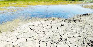 حقوق الإنسان في البصرة:المحافظة تواجه كارثة مائية وأوضاعاً إنسانية متدهورة