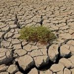 الزراعة النيابية:السوداني غير مكترث بالجفاف الذي يحصل في العراق