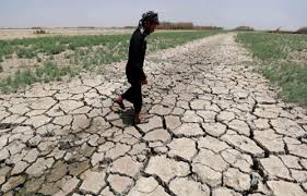 نائب إطاري:إيران وتركيا وراء شحة المياه في العراق