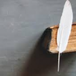 نحوَ إعادةِ النظرِ في وظيفةِ الأدب