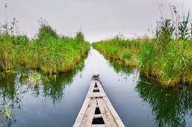 الأمم المتحدة تسلم حكومة السوداني مشروع الأراضي الرطبة