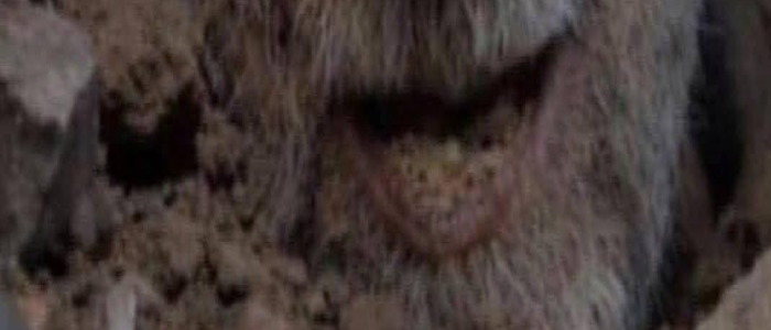 الإطار الإيراني يدعو أحباء خامنئي للطم على روحه في جامع الأبرار وسط بغداد ولمدة ثلاثة أيام