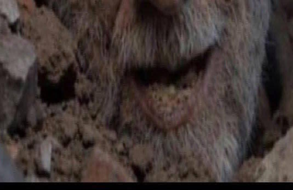 الإطار الإيراني يدعو أحباء خامنئي للطم على روحه في جامع الأبرار وسط بغداد ولمدة ثلاثة أيام