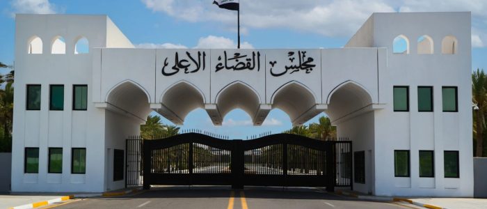 القضاء يطوّق “حوت الكهرباء”.. الحجز على أموال وعقارات علاء سمير