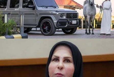 سجاد ابن عالية نصيف في قلب عملية أمنية معقدة.. ترسانة سلاح ومضبوطات ثقيلة تُشعل التحقيقات جنوب بغداد